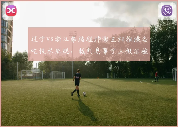 辽宁vs浙江弗格程帅澎互相推搡各吃技术犯规，裁判息事宁人做法被指掩盖争议